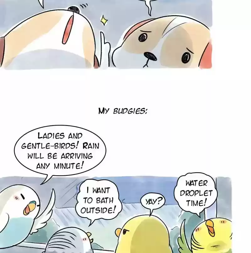 A Budgie's Life Chapter 73: Ep.73: