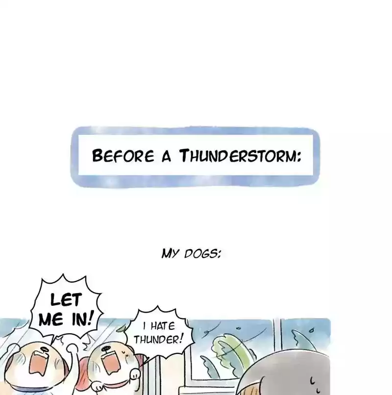 A Budgie's Life Chapter 73: Ep.73: