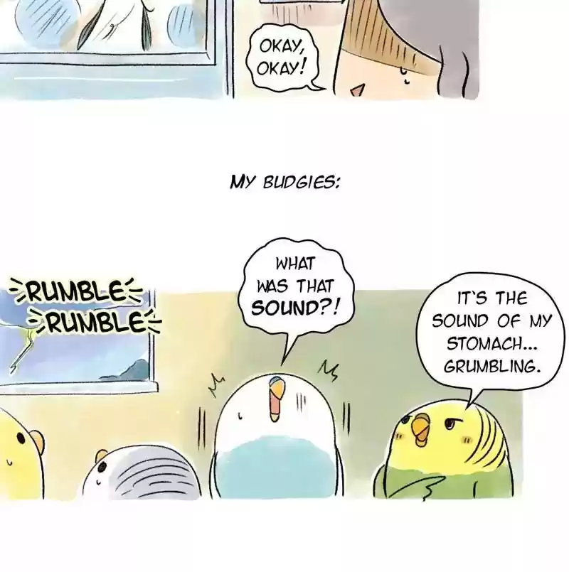 A Budgie's Life Chapter 73: Ep.73: