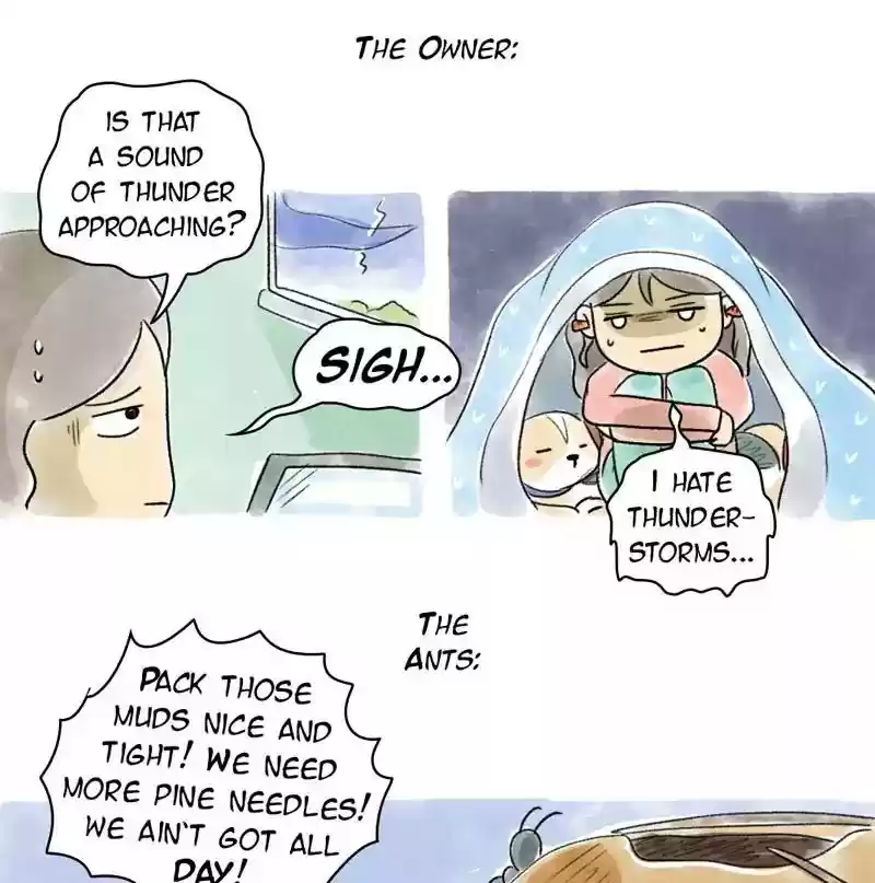 A Budgie's Life Chapter 73: Ep.73: