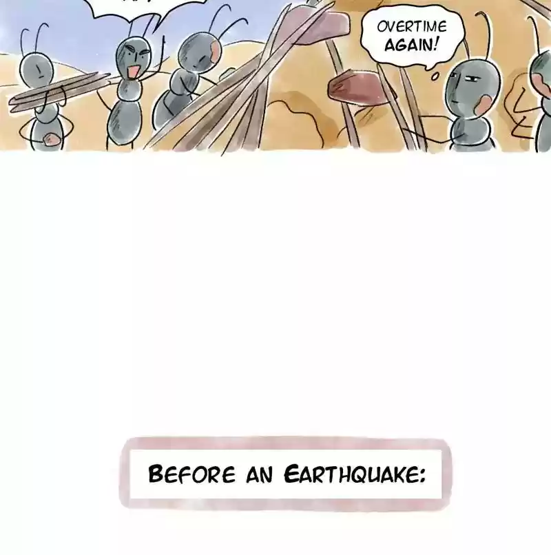 A Budgie's Life Chapter 73: Ep.73: