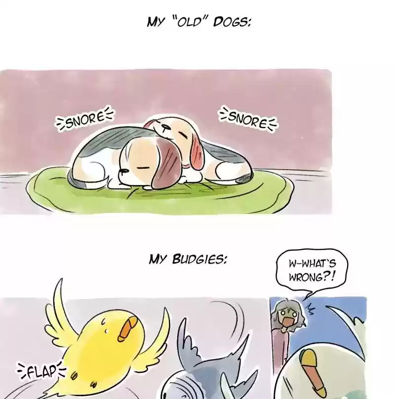 A Budgie's Life Chapter 73: Ep.73: