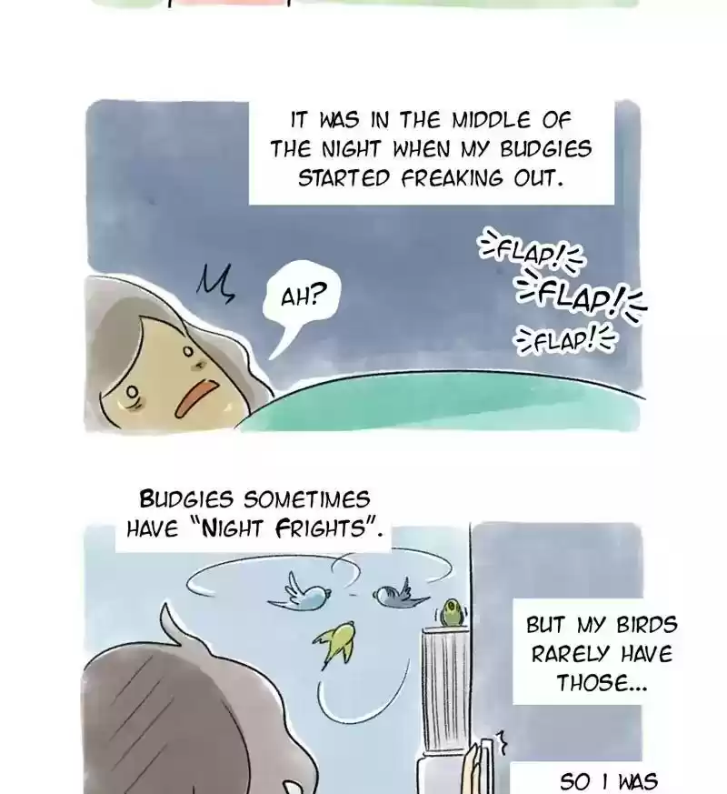 A Budgie's Life Chapter 73: Ep.73: