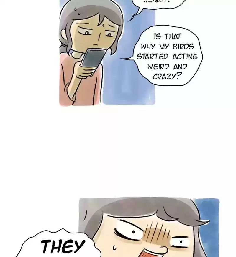 A Budgie's Life Chapter 73: Ep.73: