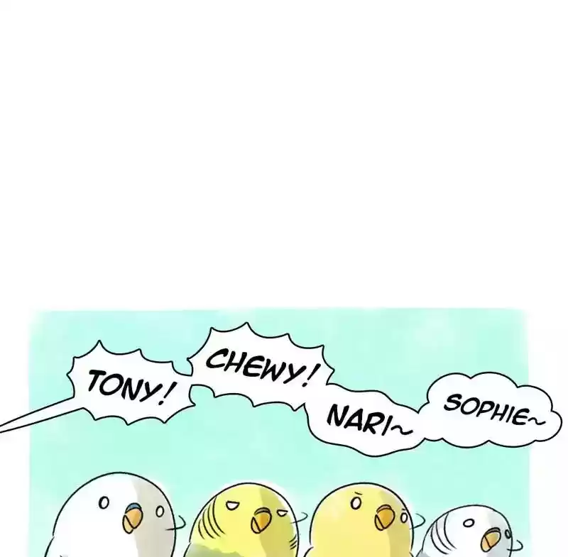 A Budgie's Life Chapter 74: Ep.74: