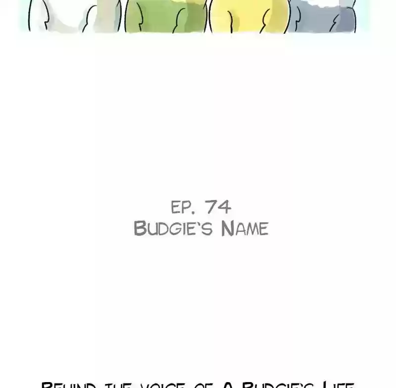A Budgie's Life Chapter 74: Ep.74: