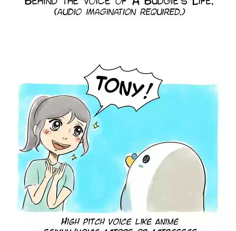A Budgie's Life Chapter 74: Ep.74: