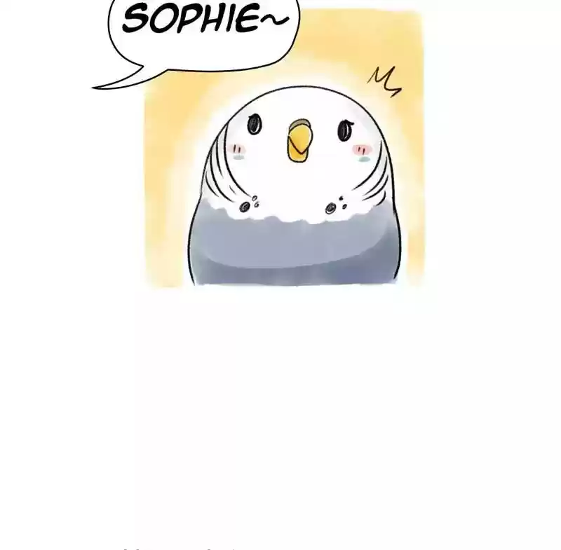 A Budgie's Life Chapter 74: Ep.74: