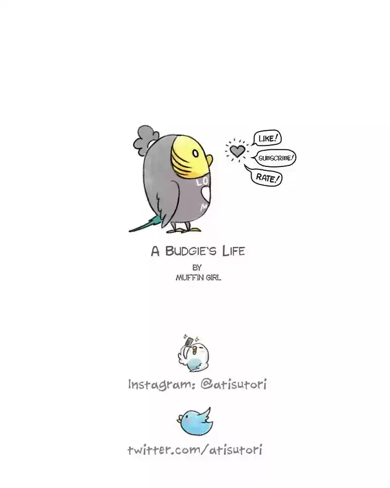 A Budgie's Life Chapter 74: Ep.74: