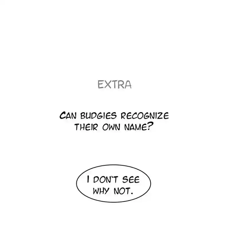 A Budgie's Life Chapter 74: Ep.74: