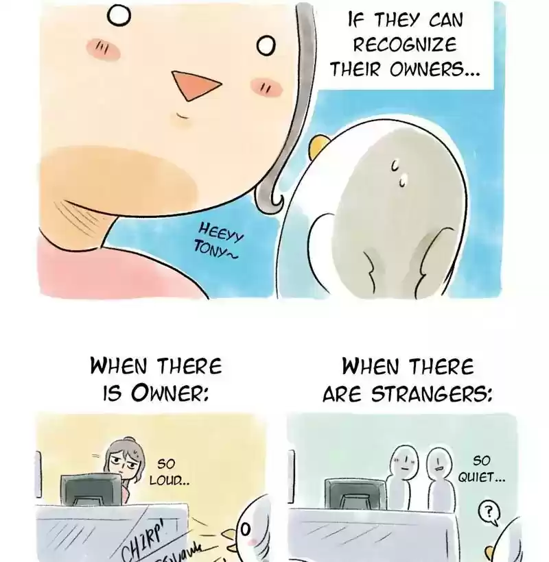 A Budgie's Life Chapter 74: Ep.74: