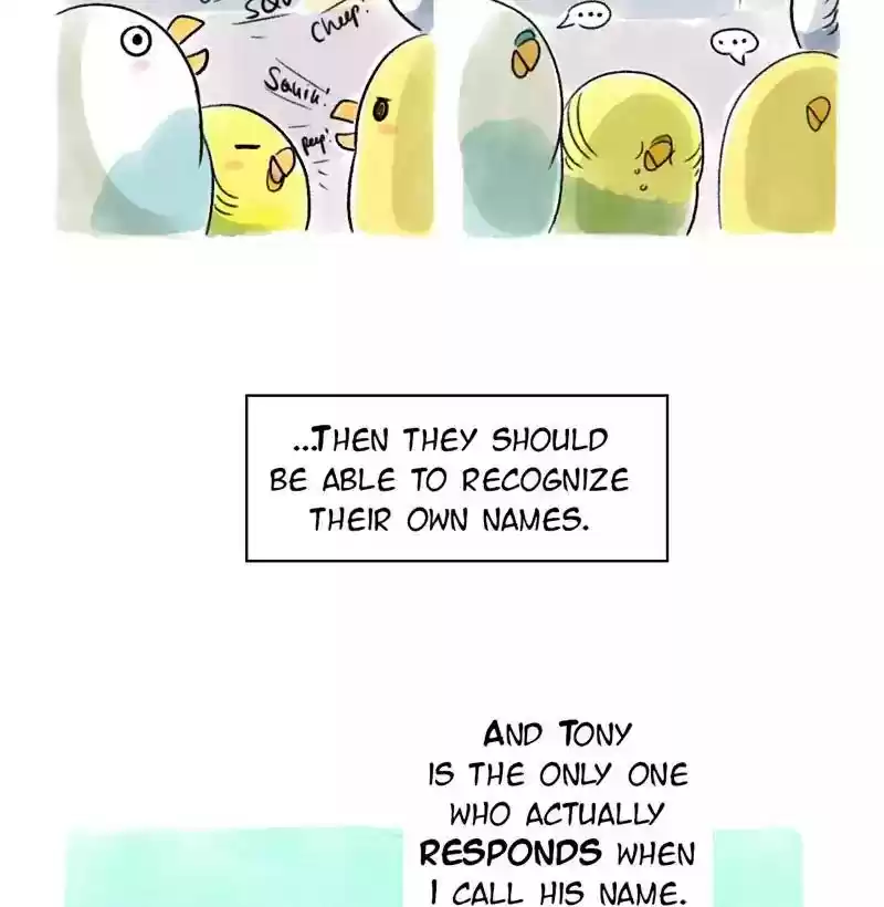 A Budgie's Life Chapter 74: Ep.74: