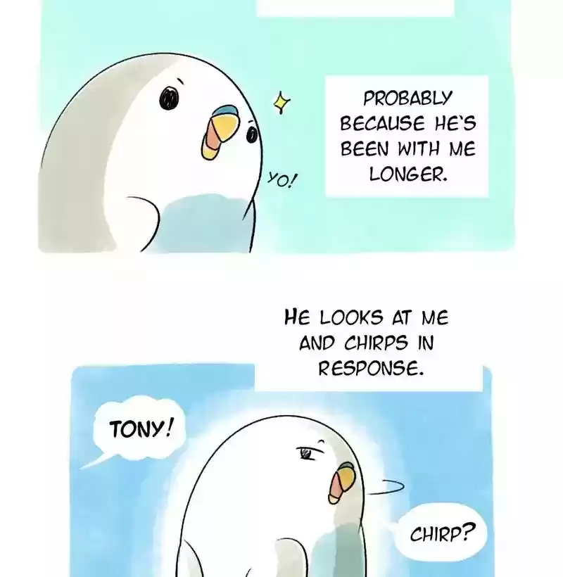 A Budgie's Life Chapter 74: Ep.74: