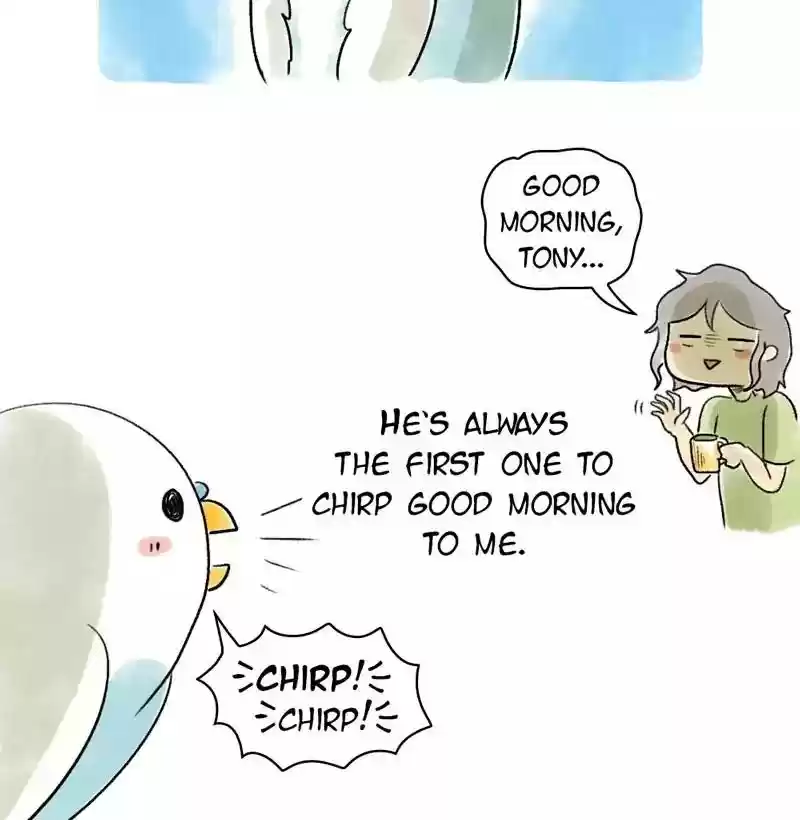 A Budgie's Life Chapter 74: Ep.74: