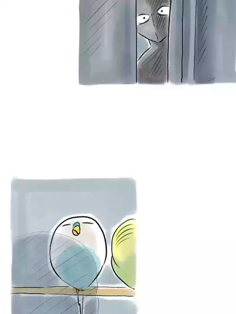 A Budgie's Life Chapter 75: Ep.75: