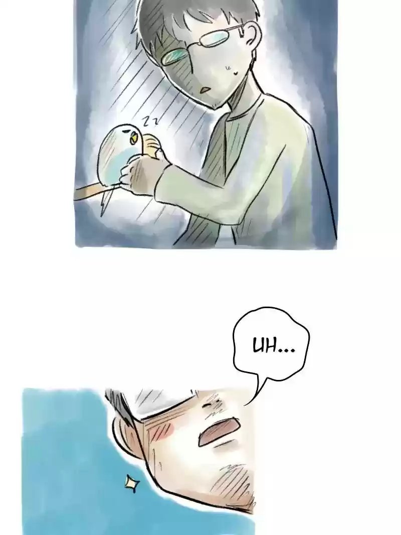 A Budgie's Life Chapter 75: Ep.75: