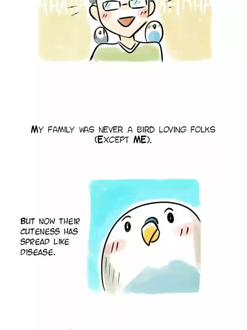 A Budgie's Life Chapter 75: Ep.75: