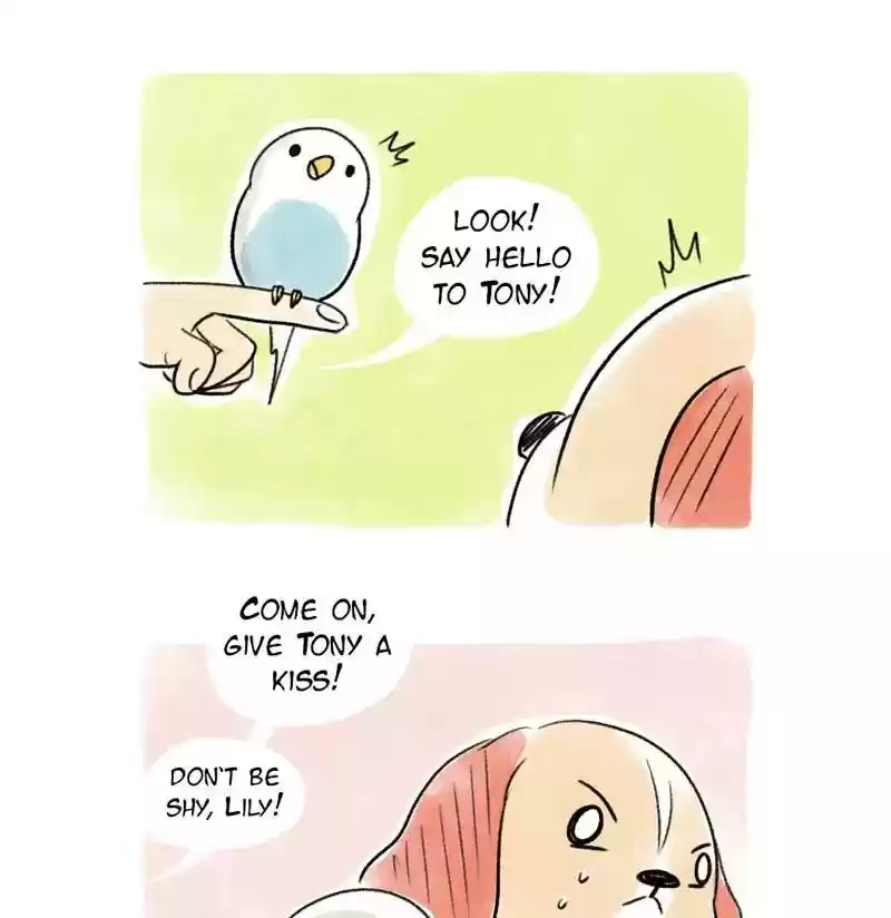 A Budgie's Life Chapter 75: Ep.75: