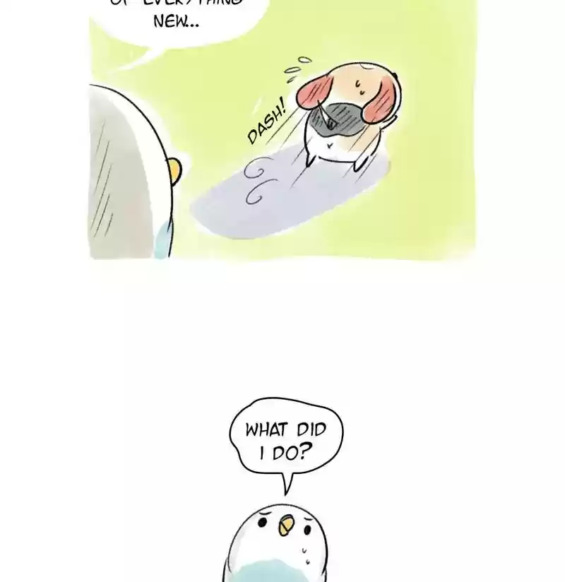 A Budgie's Life Chapter 75: Ep.75: