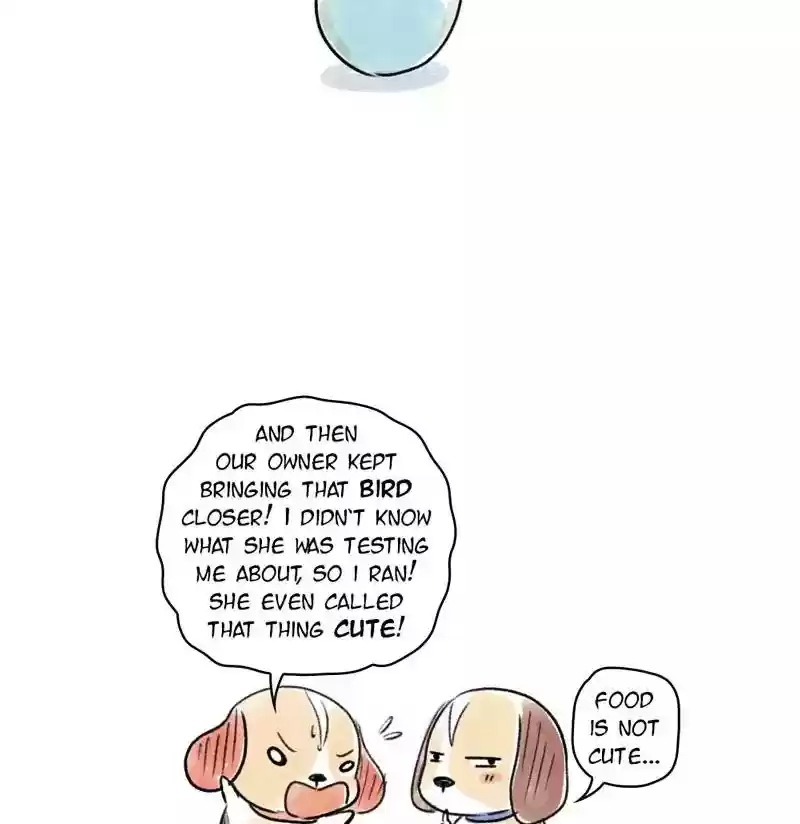 A Budgie's Life Chapter 75: Ep.75: