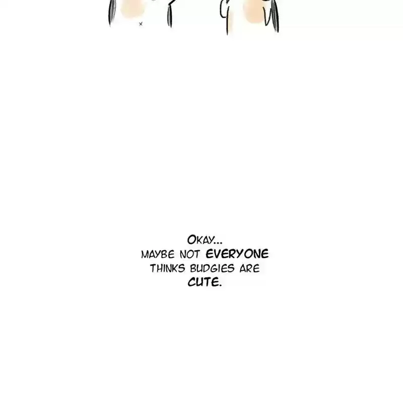 A Budgie's Life Chapter 75: Ep.75: