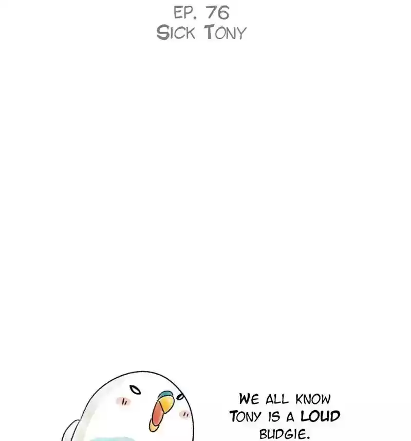 A Budgie's Life Chapter 76: Ep.76: