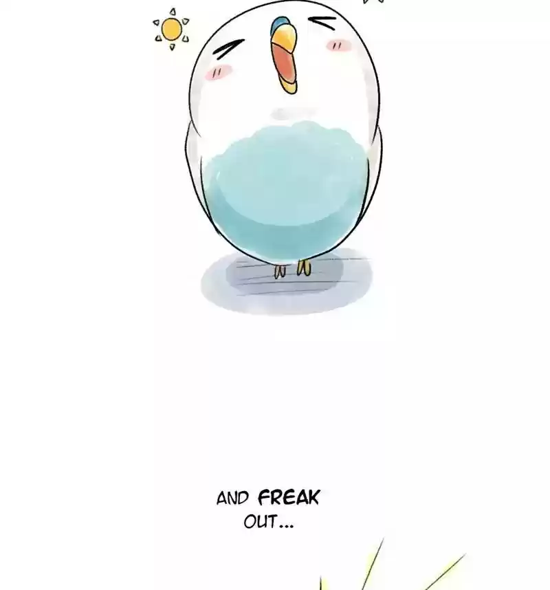 A Budgie's Life Chapter 76: Ep.76: