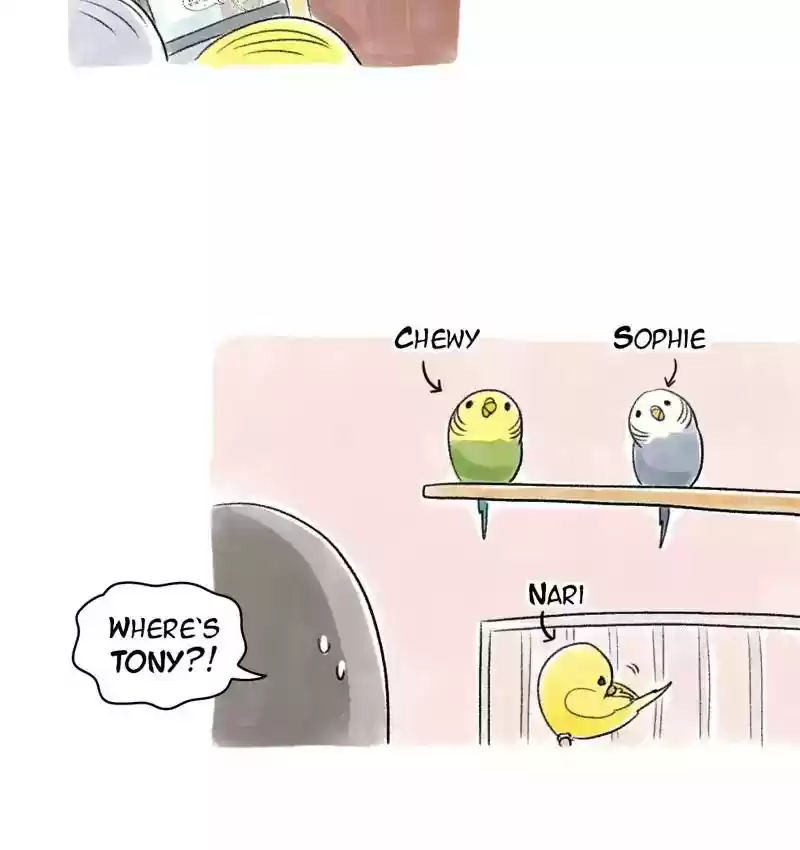 A Budgie's Life Chapter 76: Ep.76: