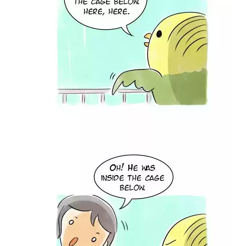 A Budgie's Life Chapter 76: Ep.76: