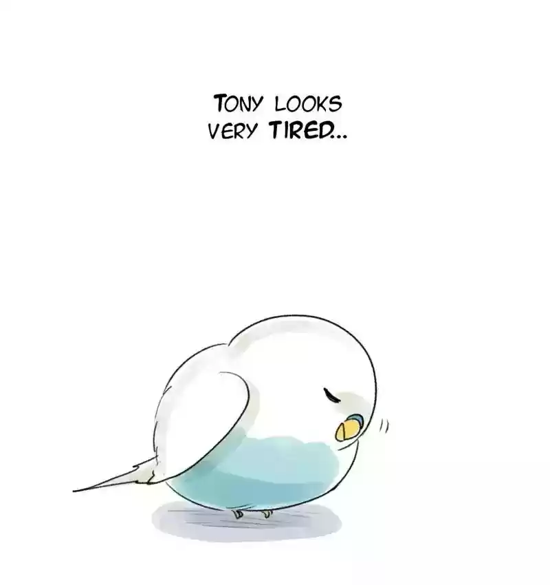 A Budgie's Life Chapter 76: Ep.76: