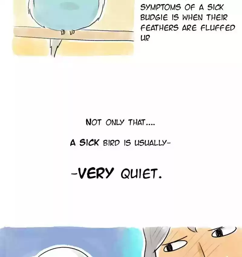 A Budgie's Life Chapter 76: Ep.76: