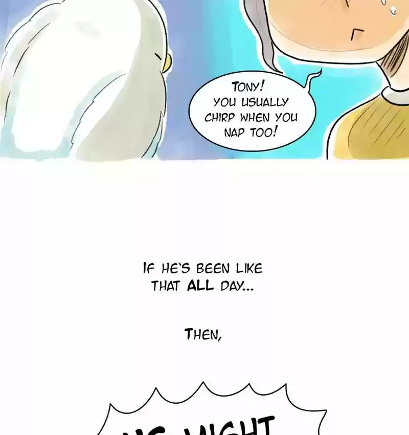 A Budgie's Life Chapter 76: Ep.76: