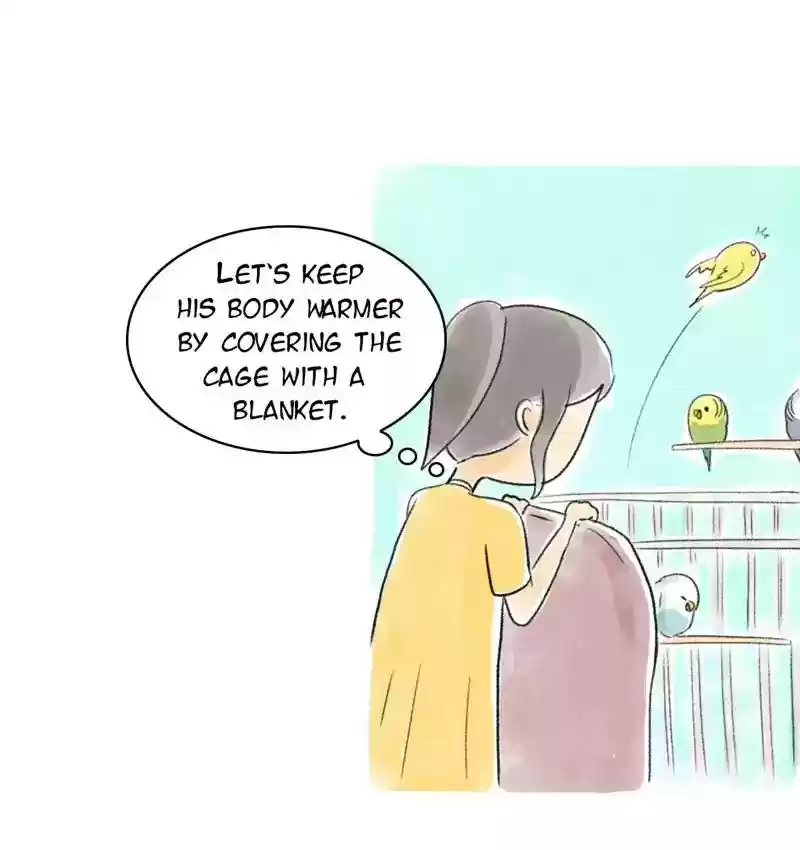 A Budgie's Life Chapter 76: Ep.76: