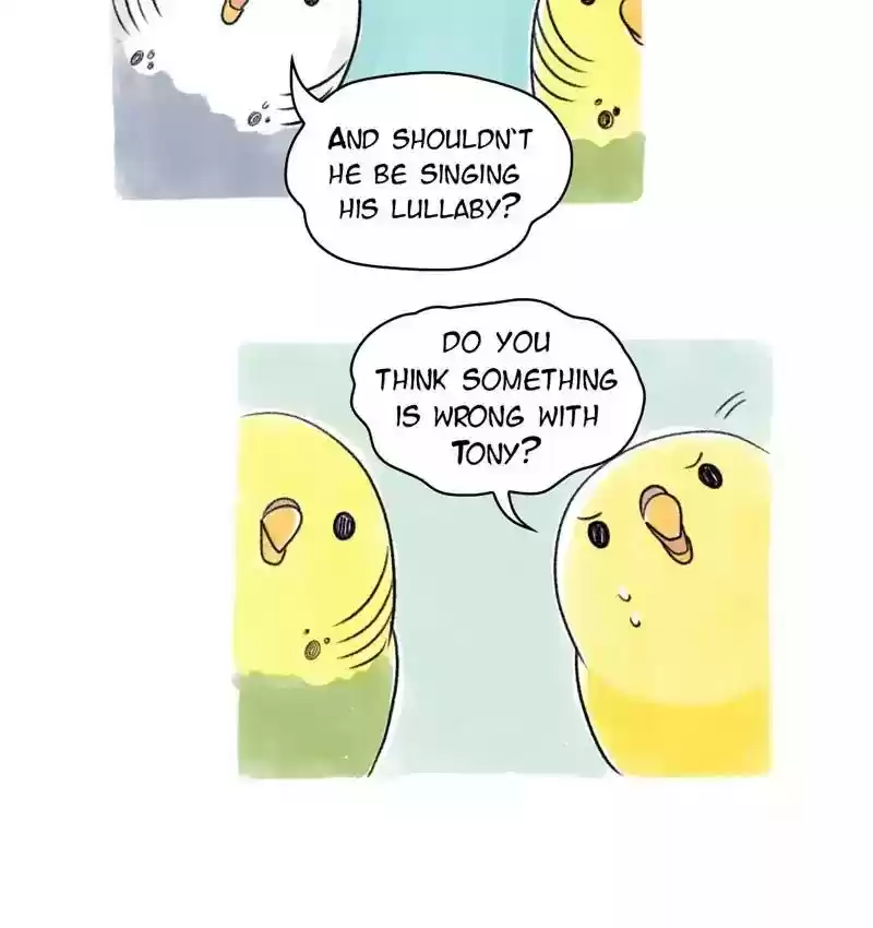 A Budgie's Life Chapter 76: Ep.76: