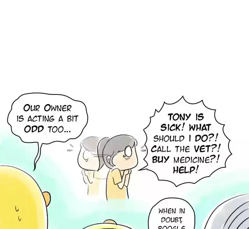 A Budgie's Life Chapter 76: Ep.76: