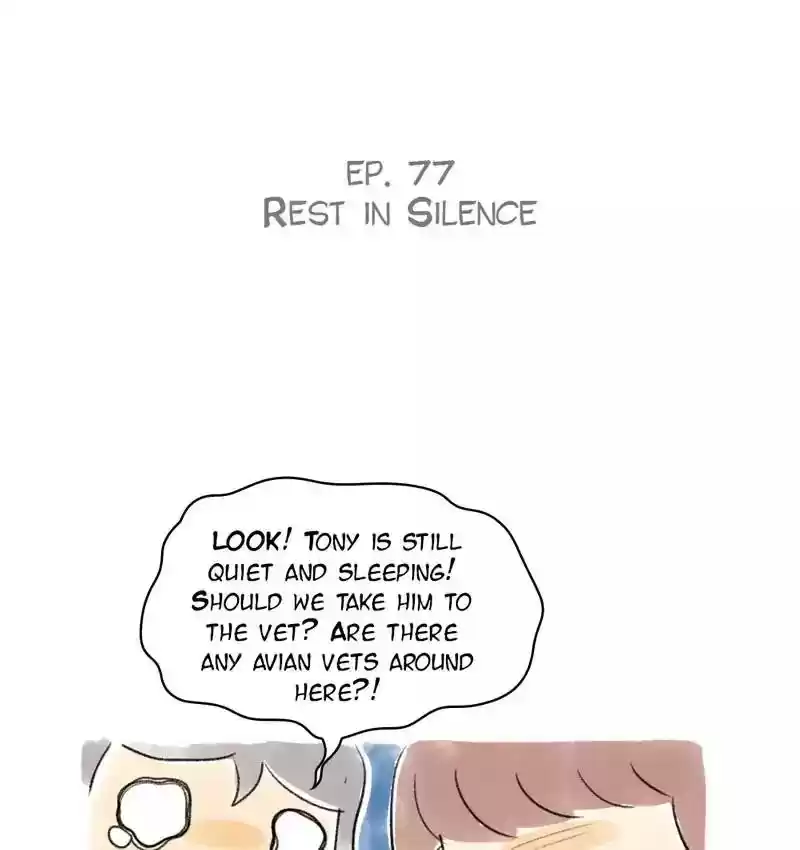 A Budgie's Life Chapter 77: Ep.77: