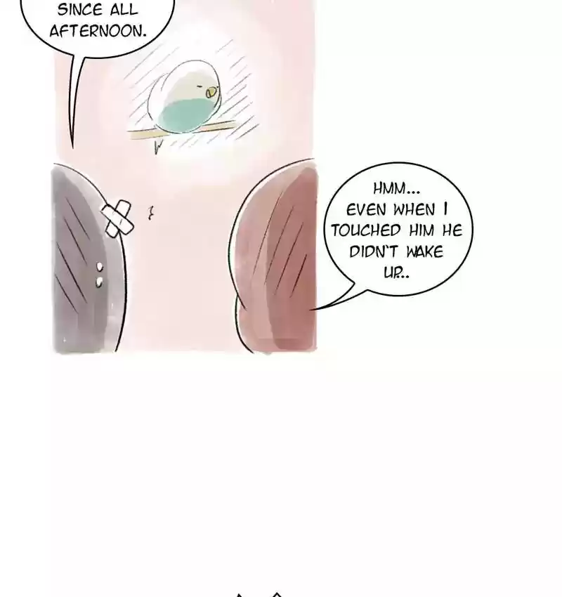 A Budgie's Life Chapter 77: Ep.77: