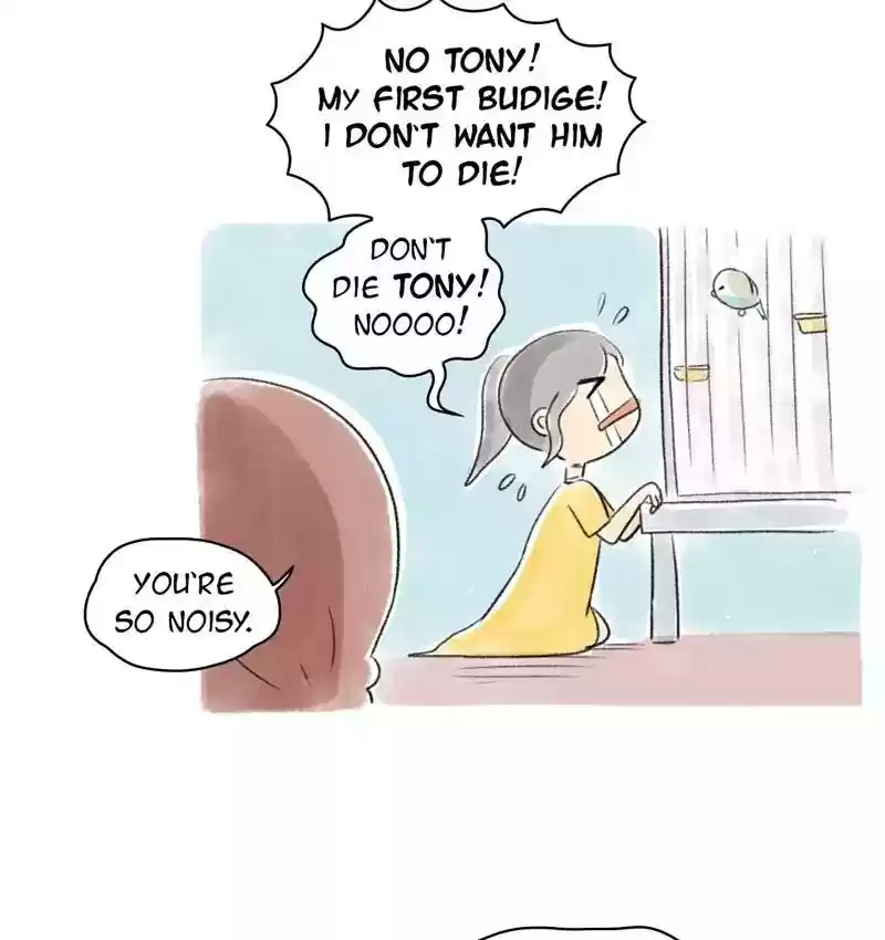 A Budgie's Life Chapter 77: Ep.77: