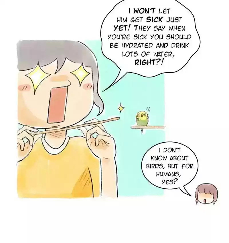 A Budgie's Life Chapter 77: Ep.77: