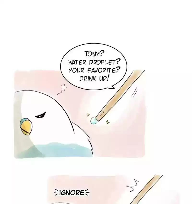 A Budgie's Life Chapter 77: Ep.77: