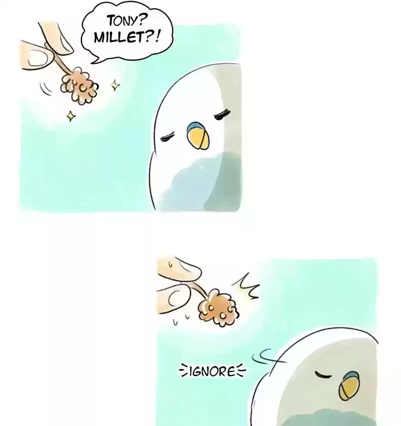 A Budgie's Life Chapter 77: Ep.77: