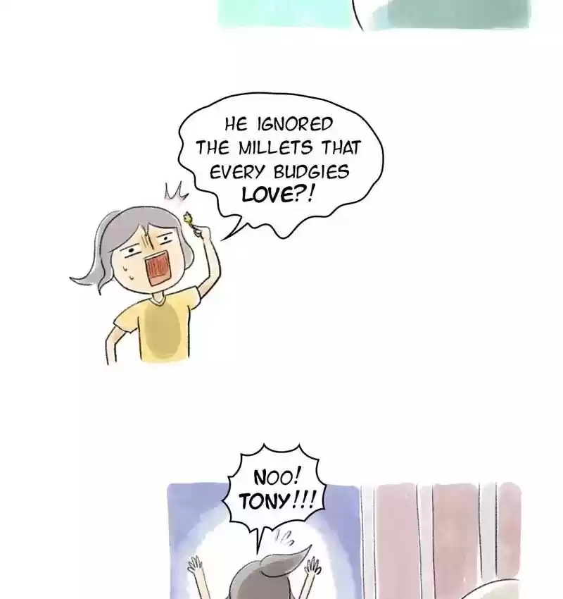 A Budgie's Life Chapter 77: Ep.77: