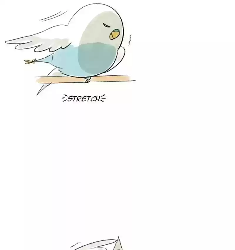 A Budgie's Life Chapter 77: Ep.77: