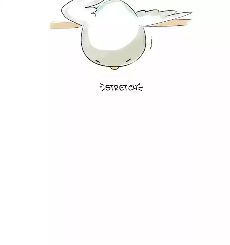 A Budgie's Life Chapter 77: Ep.77: