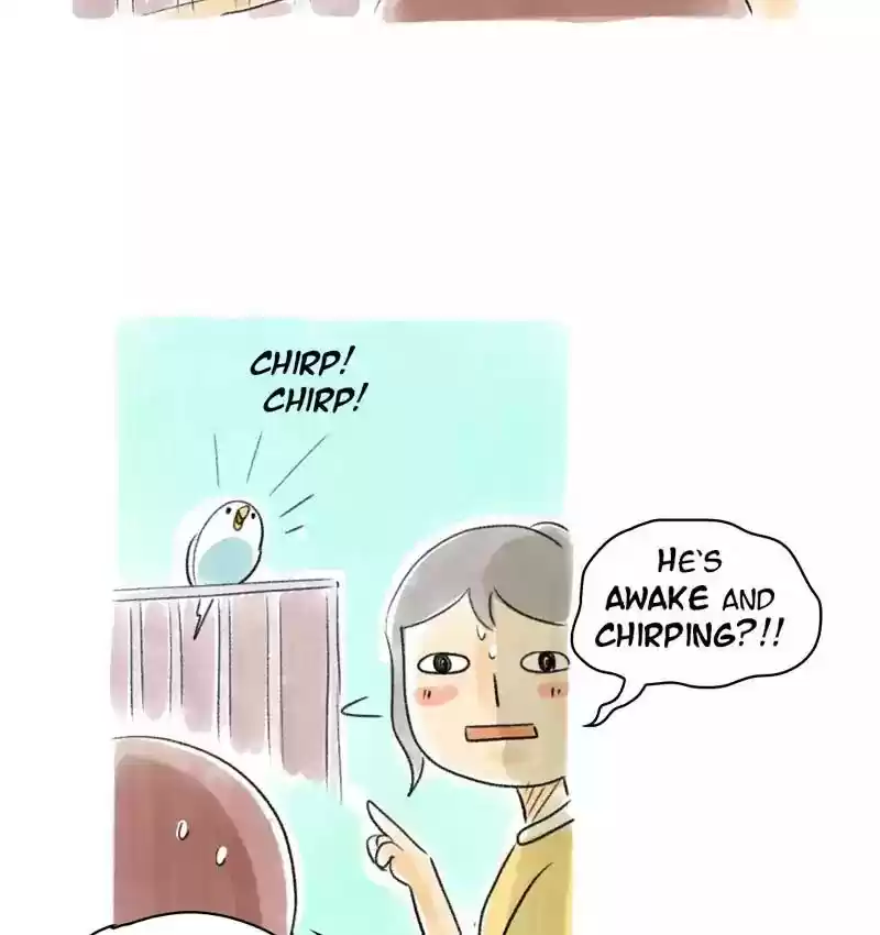 A Budgie's Life Chapter 77: Ep.77: