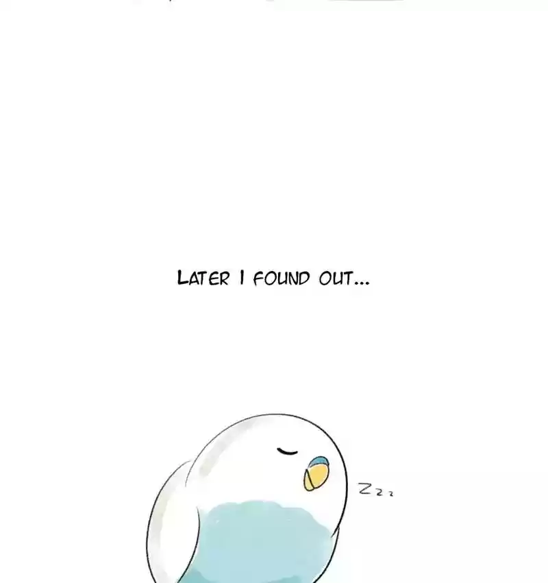 A Budgie's Life Chapter 77: Ep.77:
