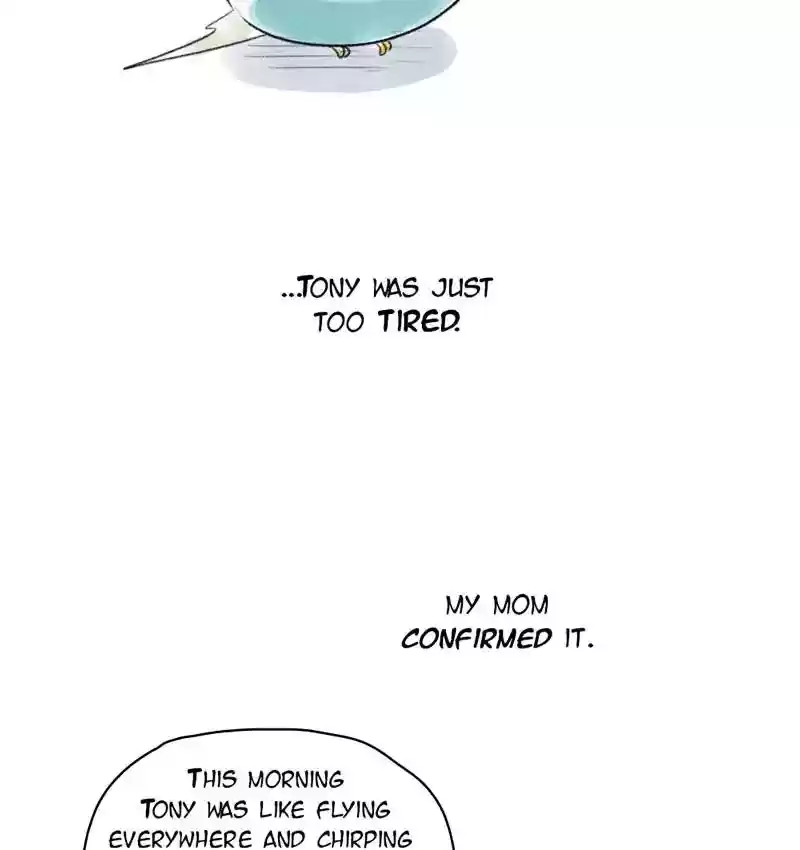 A Budgie's Life Chapter 77: Ep.77: