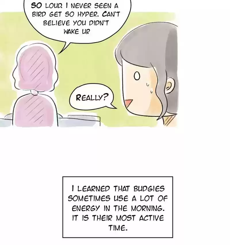A Budgie's Life Chapter 77: Ep.77:
