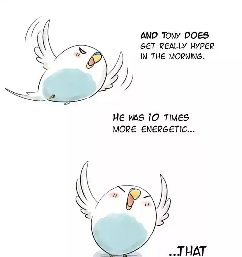 A Budgie's Life Chapter 77: Ep.77:
