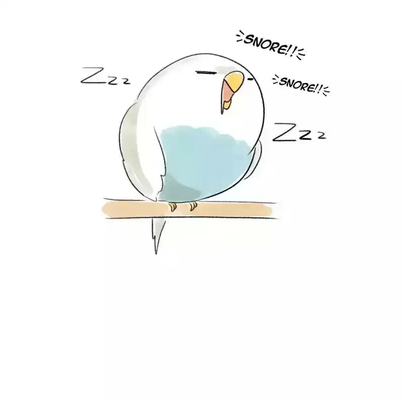 A Budgie's Life Chapter 77: Ep.77: